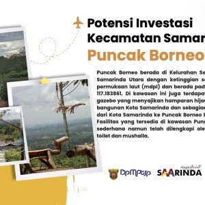 Puncak-Borneo(Sempaja-Utara--Samarinda-Utara).jpg