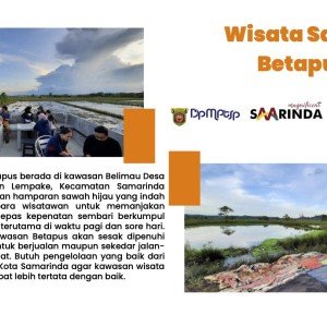 Wisata-Sawah-(Lempake-Samarinda-Utara).jpg